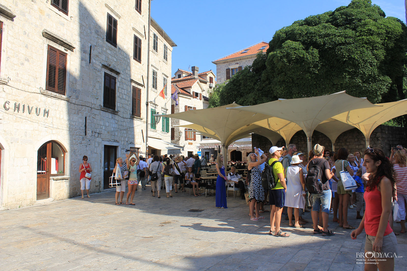 Kotor